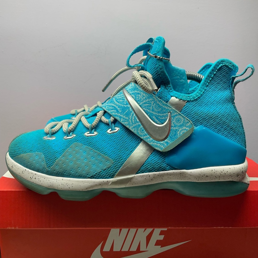 Nike LeBron 14 “rick flair”